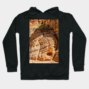 Lick Wash Trail Hike Hoodie